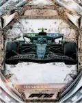 Fernando Alonso D75-29